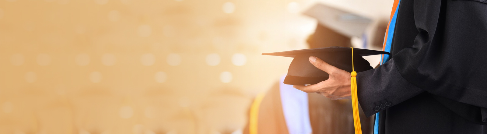 professional educational consultancy kerala